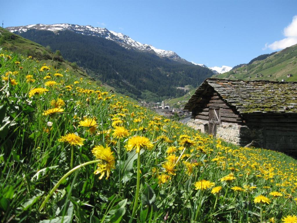Ferienwohnung Mura Vals Extérieur photo