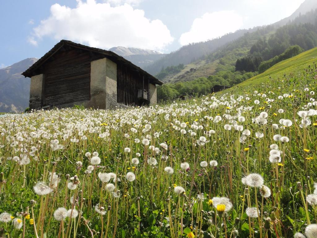 Ferienwohnung Mura Vals Extérieur photo
